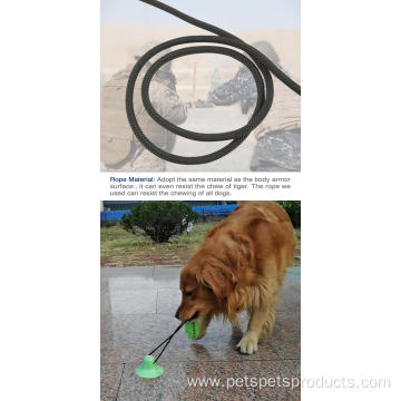 OEM Pet Interactive Dog Chew Toy Training Ball